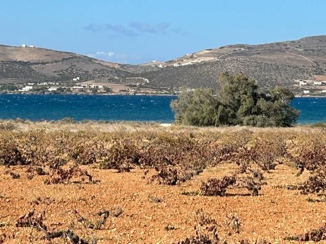 (For Sale) Land Plot || Cyclades/Paros - 8.600 Sq.m, 2.000.000€ 