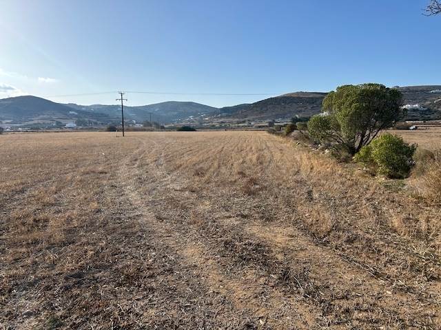 (For Sale) Land Plot || Cyclades/Paros - 7.641 Sq.m, 300.000€ 